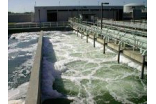 污泥活性不夠？